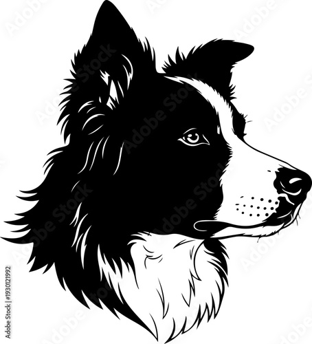 Border collie silhouette vector illustration