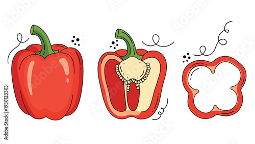 Set of red bell peppers showing a whole fruit a cross section half with seeds and a single sliced pepper ring in vector.
