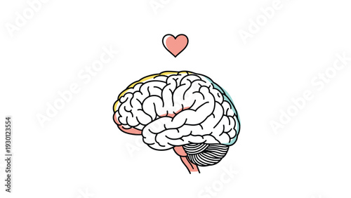 Human brain illustration with a small red heart symbol above it representing the balance between logic and emotion or mental health.