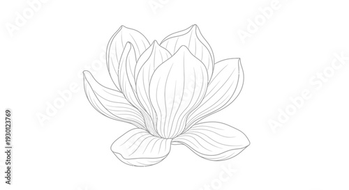 Elegant blooming floral botanical line art illustration capturing the delicate essence of nature's