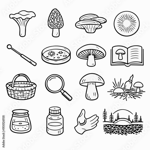 An Illustration of various mushrooms and related items, perfect for mycological studies or creative projects.