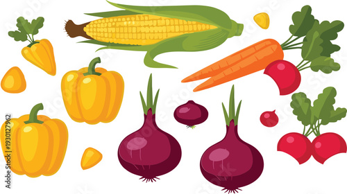 Fresh Farm Vegetables Vector Set with Corn, Carrot, Onion, Pepper and Radish Illustration