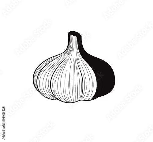 A black and white drawing of a garlic bulb