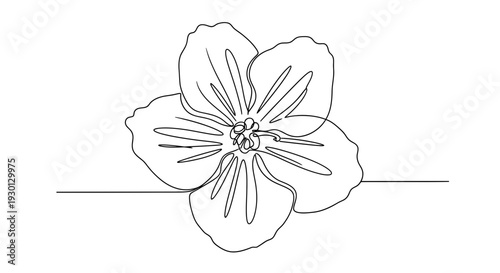 Minimalist Single Line Drawing of a Blooming Flower on White Background