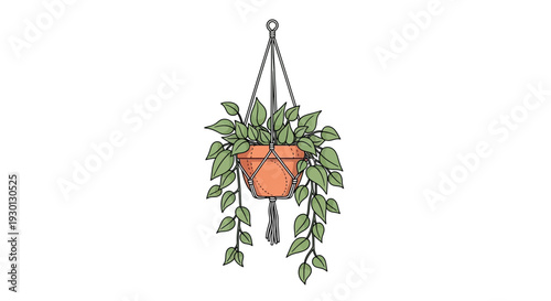 Hanging Pothos Plant in Macrame Holder, Green Leaves, Indoor Decor