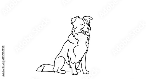 Line Art Border Collie Dog Sitting Happily Outdoors