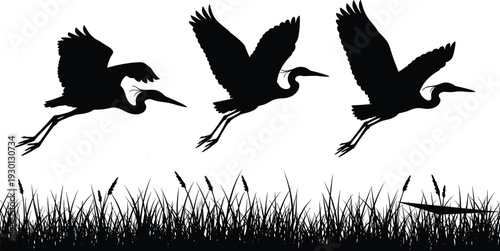 Black Silhouette Vector Illustration of Three Herons Flying Over Grassland Field for Nature Wildlife Environment Conservation and Outdoor Landscape Designs