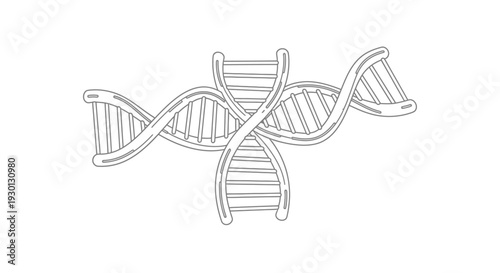 Simplified outline drawing of a DNA double helix structure