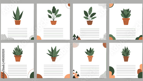 Minimalist cards featuring various green indoor plants in terracotta pots for home decoration and botanical themed stationary.