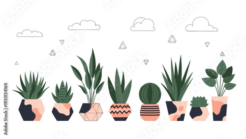 Variety of leafy indoor house plants in decorative geometric pots is arranged in a row with abstract sky elements above them.