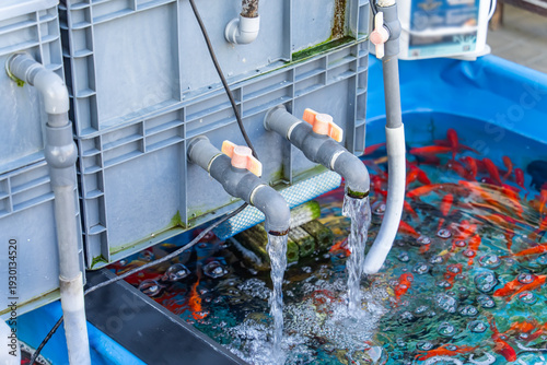 Fotografie water filter for fishpond using a plastic container and a PVC pipe