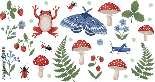 Woodland Nature Collection with Frog Moth Mushrooms Ferns and Forest Insects Vector Illustration