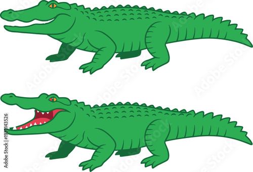 Cartoon crocodile and alligator characters in side view poses, green reptile wildlife illustration isolated on light background for zoo education, kids learning and nature design
