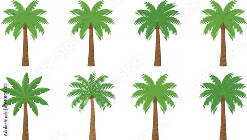 Collection of tropical palm trees isolated on white background, lush green coconut and date palms for summer travel, beach landscape design, botanical illustration and exotic nature theme