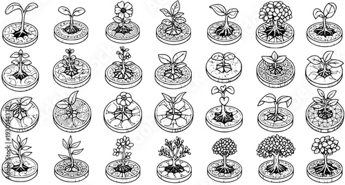 Detailed Isometric Plant  Tree Icons Set: From Seedling to Mature Tree, Various Botanical Illustrations, Nature Growth Stages, Black and White Line Art