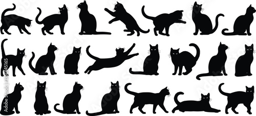 Cat silhouette set, various feline breeds collection, pet animal vector outlines, domestic kitten icons for veterinary and animal care graphic design projects