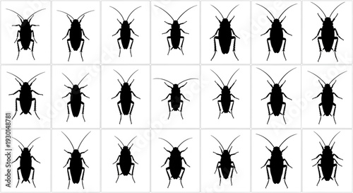 Collection of black cockroach silhouettes on white background insects in various poses