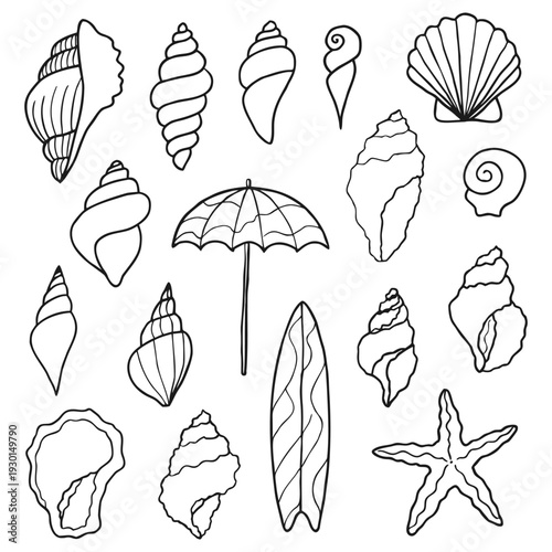 Line Art Collection of Seashells, Starfish, and Beach Items