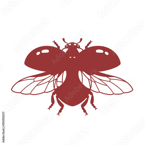 Fruit Fly Silhouette Top View with Wings and Abdomen