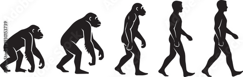 Evolution of humans from ape to modern human silhouette