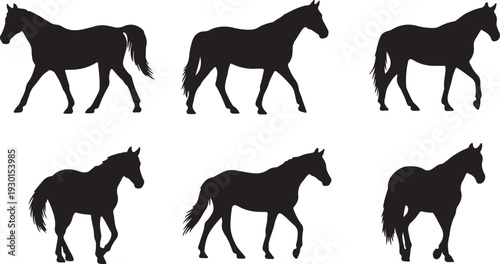 Six horse silhouettes in various poses showcasing equine movement and form in a striking black and white composition featuring silhouette