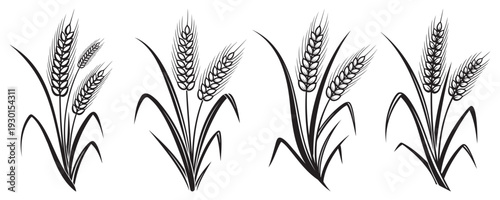 Wheat plant silhouettes isolated on white background agriculture vector illustration