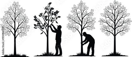 Black vector silhouette set of people planting and caring for trees for concepts of environment forestry landscaping gardening and branding
