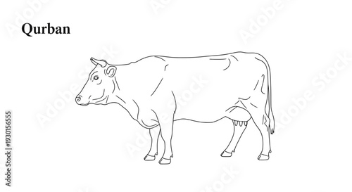Cow Standing Sideways Simple Line Drawing.