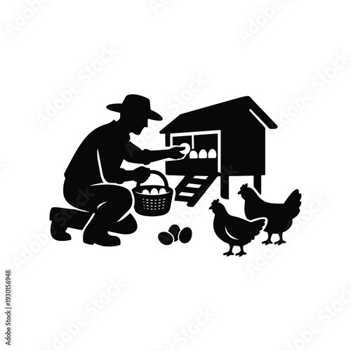 Farmer collecting eggs at chicken coop silhouette