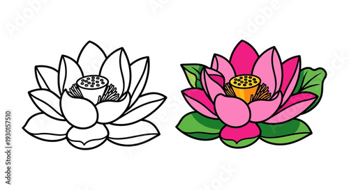 Illustration showcasing a bright pink lotus flower design next to an identical black and white outline ready for coloring activities and artistic projects