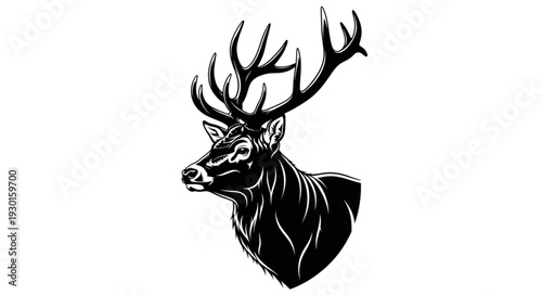 Black and White Deer Head Illustration.