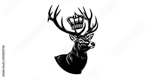 Black and White Deer Head Illustration.