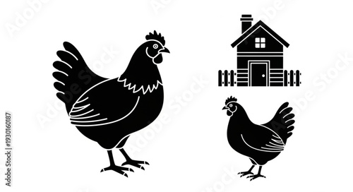 Black and White Chicken Illustration.