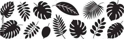 Tropical leaves silhouettes vector set for jungle foliage pattern background and natural exotic plant decoration elements