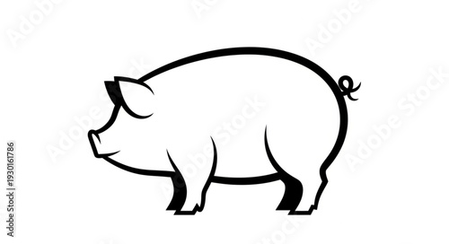 Black and White Pig Illustration.