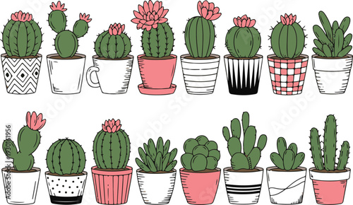 Assortment of potted cacti and succulents in decorative planters for home garden and decoration