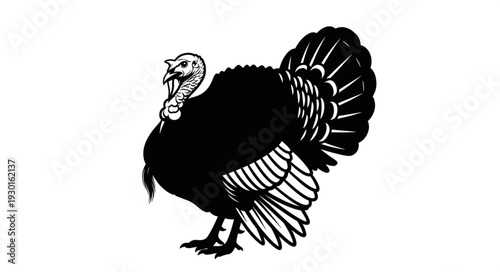 Black and White Turkey Bird Illustration.