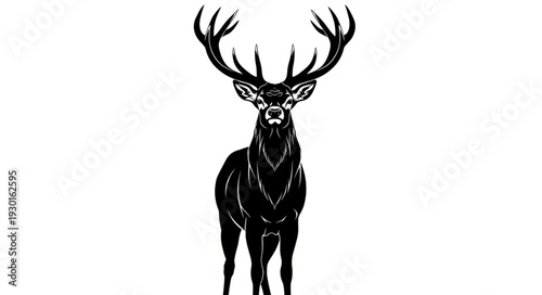 Black and White Deer Illustration.