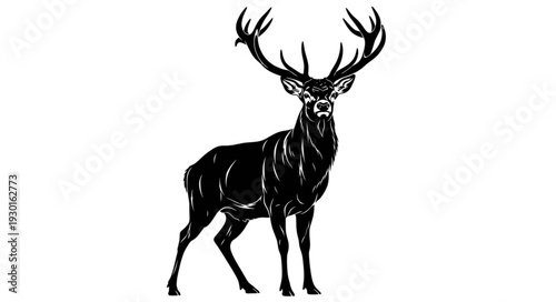 Black and White Deer Illustration.