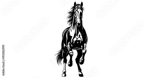 Black and White Horse Illustration.