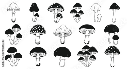Hand drawn black and white mushroom collection vector line art illustrations of diverse forest fungi isolated on white background set