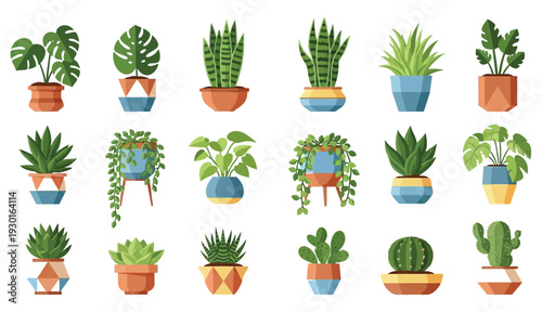 Collection Of Potted Succulents And Cacti In Terracotta Pots