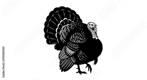 Black and White Turkey Illustration.