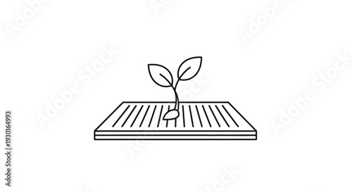 Seedling Sprouting from Soil in a Garden Bed - Growth and New Life Concept