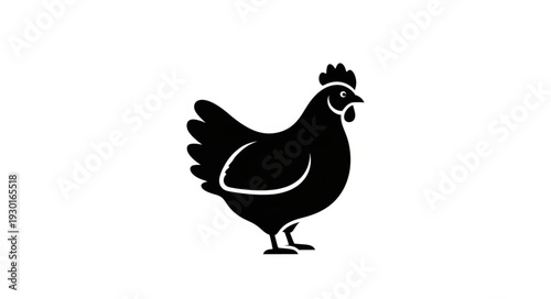 Black Chicken Silhouette Standing Proudly.