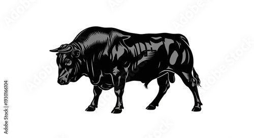 Black Bull Standing on White Background.