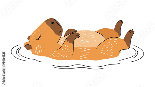 Cute capybara animal swimming on its back in water with closed eyes and a peaceful expression for nature and wildlife illustration.