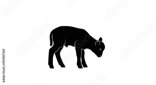 Black Cow Silhouette Isolated White.