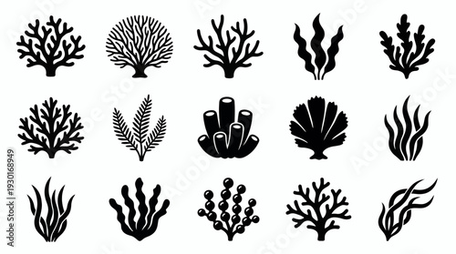 Collection of various coral and seaweed silhouettes isolated on white background, concept for marine ecosystem educational materials, aquarium branding and ocean conservation projects