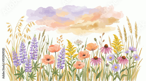 Watercolor illustration of colorful wildflowers and wheat stalks under pastel clouds on a white background, concept for greeting card design, summer botanical illustration and nature background